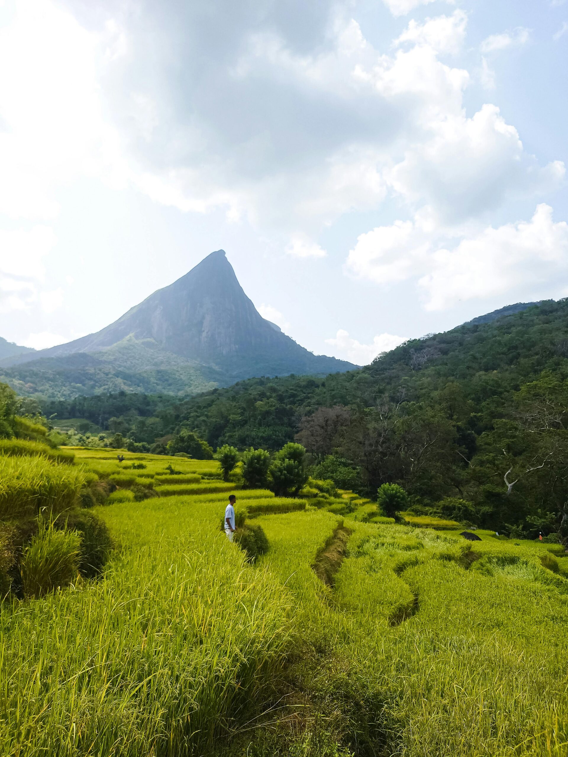 Knuckles range Sri Lanka tour package
